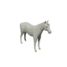 Horse White
